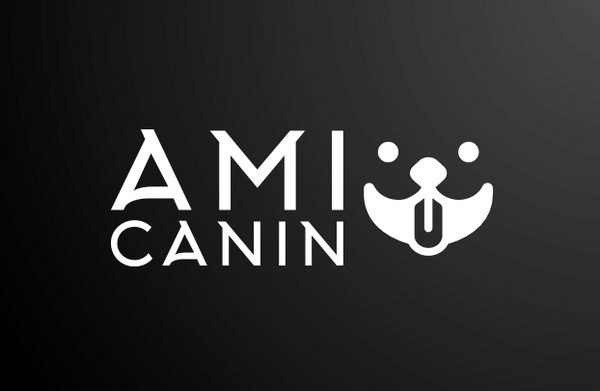 ami-canin.store